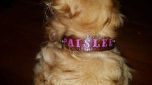 Load image into Gallery viewer, Custom Leather Dog Collar